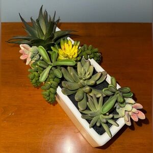 Artificial Succulents Plant